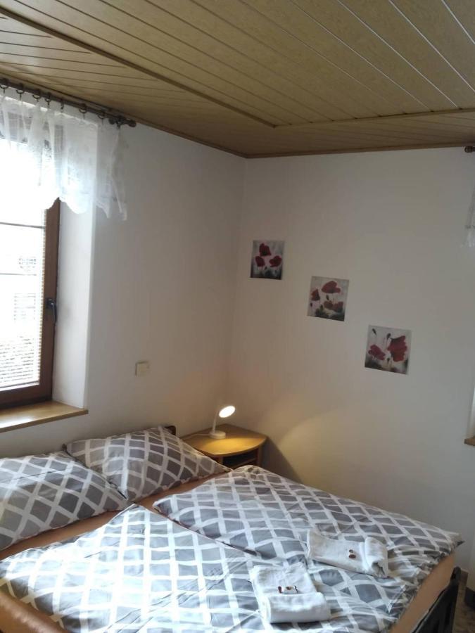 Apartma Doubek 捷克布杰约维采 外观 照片