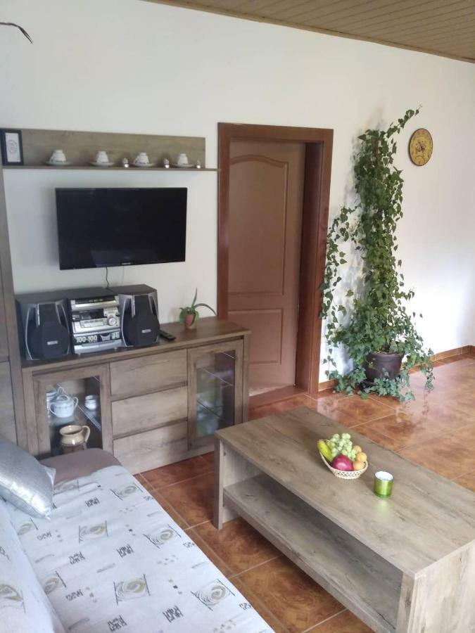 Apartma Doubek 捷克布杰约维采 外观 照片