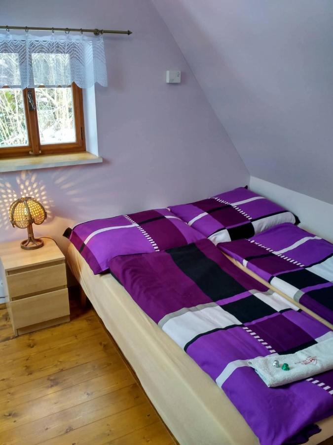Apartma Doubek 捷克布杰约维采 外观 照片